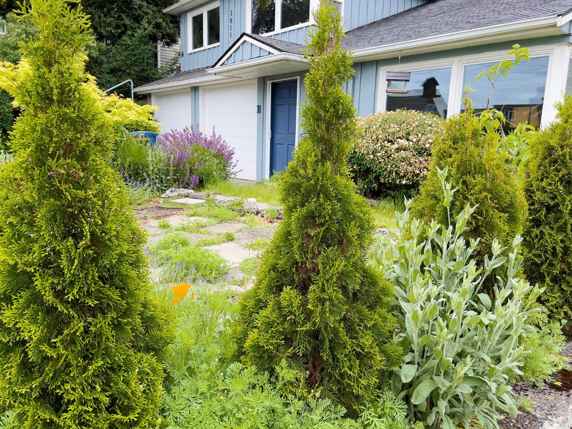 Magnolia Garden Cottage Seattle Exterior photo